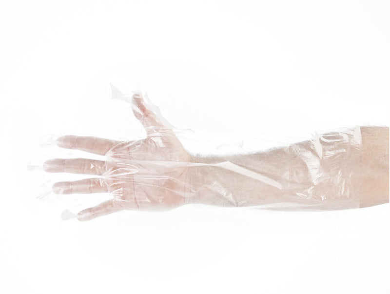 Work Force C804-55 – Elbow Length Poly Gloves Case of 2000
